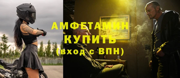 мдпв Елабуга