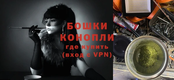мдпв Елабуга