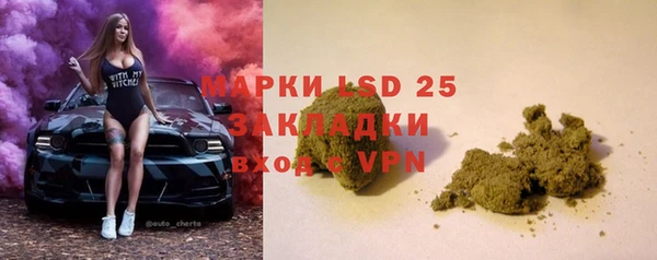 хмурый Елизово