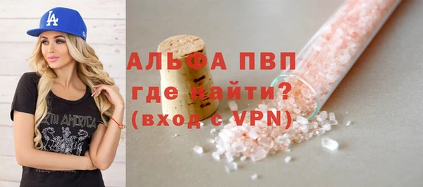 мдпв Елабуга