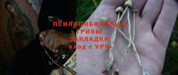 мдпв Елабуга