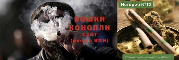 мдпв Елабуга