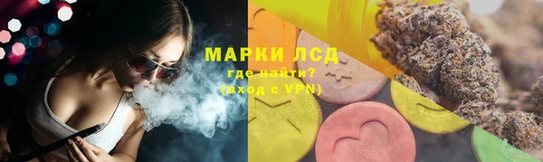 мдпв Елабуга