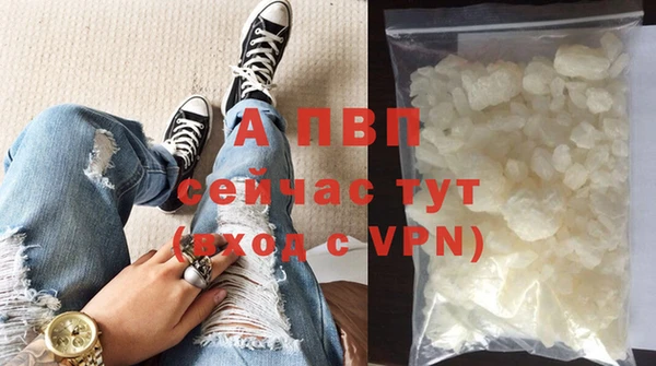 мдпв Елабуга