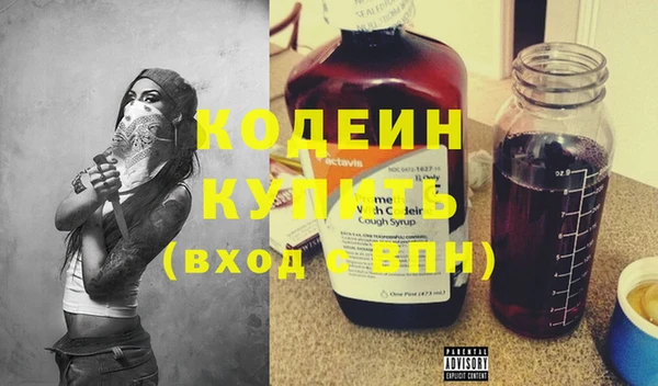 хмурый Елизово
