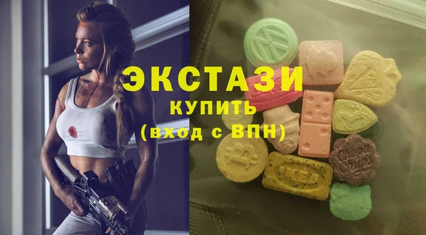 мдпв Елабуга
