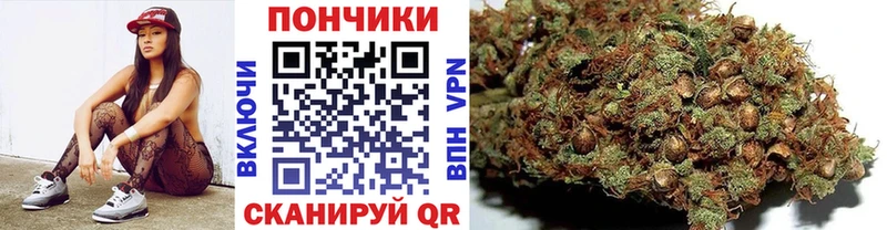 Бошки марихуана AK-47  закладка  Красково 